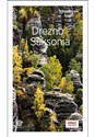 Drezno i Saksonia Travelbook