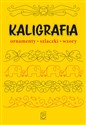 Kaligrafia. Ornamenty, szlaczki, wzory 