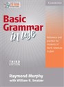 Basic Grammar in Use Student's Book without Answers and CD-ROM