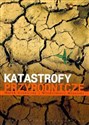 Katastrofy przyrodnicze