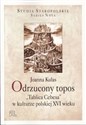 Odrzucony topos "Tablica Cebesa" w kulturze polskiej XVI wieku