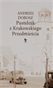 Pustelnik z Krakowskiego Przedmieścia - Andrzej Dobosz