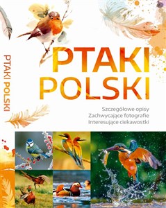 Ptaki Polski / SBM