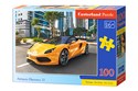 Puzzle Arrinera Hussarya  100 B-111015