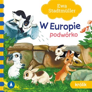 W Europie Podwórko Królik