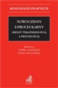 Nowoczesny e-proces karny Między teraźniejszością a przyszłością 