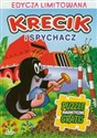 Krecik i spychacz Puzzle magnetyczne gratis