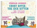 Chory Kotek The Sick Kitten