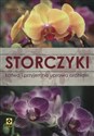 Storczyki Łatwa i przyjemna uprawa orchidei