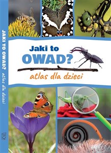 Jaki to owad? Atlas dla dzieci