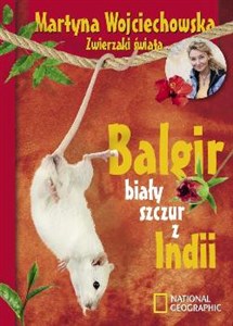 Balgir, biały szczur z Indii