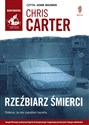 [Audiobook] Rzeźbiarz śmierci