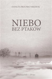 Niebo bez ptaków