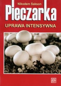 Pieczarka uprawa intensywna