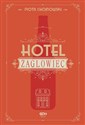 Hotel Żaglowiec Wielkie Litery - Piotr Chojnowski
