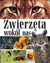 Zwierzęta wokół nas Encyklopedia dla dzieci