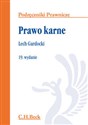 Prawo karne