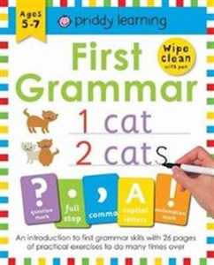 First Grammar Ages 5-7 Wipe Clean Workbook