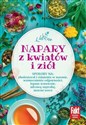 Napary z kwiatów i ziół  - Opracowanie Zbiorowe