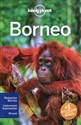Lonely planet Borneo
