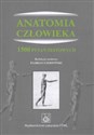 Anatomia człowieka 1500 pytań testowych