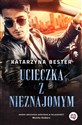 Ucieczka z nieznajomym - Katarzyna Bester