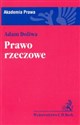 Prawo rzeczowe