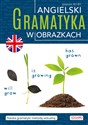 Angielski Gramatyka w obrazkach - Opracowanie Zbiorowe