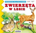 Zwierzęta w lesie