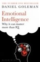 Emotional Intelligence Why it Can Matter More Than IQ