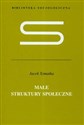 Małe struktury społeczne Wstęp do mikrosocjologii strukturalnej - Jacek Szmatka