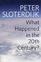 What Happened in the Twentieth Century?