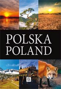 Polska Poland