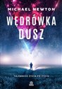 Wędrówka dusz Tajemnice życia po życiu - Michael Newton