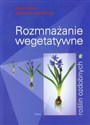 Rozmnażanie wegetatywne roślin ozdobnych