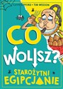 Co wolisz? Starożytni Egipcjanie