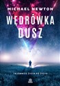 Wędrówka dusz - Michael Newton