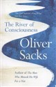 The River of Consciousness