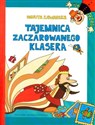 Tajemnica zaczarowanego klasera - Danuta Zawadzka