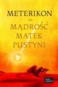 Meterikon Mądrość matek pustyni - Martirij Bagin, Andreas-Abraham Thiermeyer