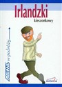 Język irlandzki kieszonkowy w podróży - Katarzyna Martinek