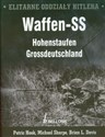 Elitarne oddziały Hitlera Waffen-SS Hohenstaufen Grossdeutschland - Patric Hook, Michael Sharpe, Brian L. Davis