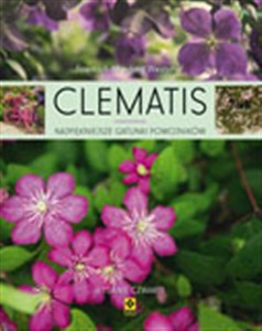 Clematis Najpiękniejsze gatunki powojników