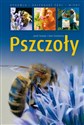 Pszczoły