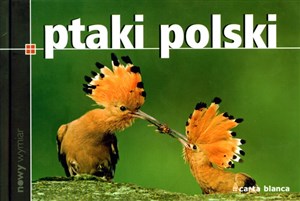 Ptaki Polski