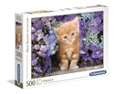 Puzzle Ginger cat 500 - 