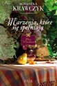 Marzenia które się spełniają Wielkie Litery