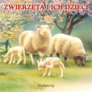 Zwierzęta i ich dzieci