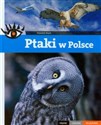 Ptaki w Polsce Piękne ciekawe wyjątkowe