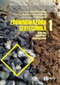 Zrównoważona geotechnika - materiały alternatywne Część 1 